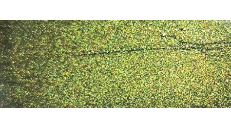 Peinture Nissan DAL EVERGREEN