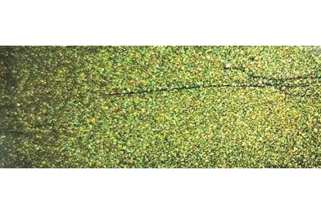 Peinture Nissan DAL EVERGREEN Peinture Nissan DAL EVERGREEN