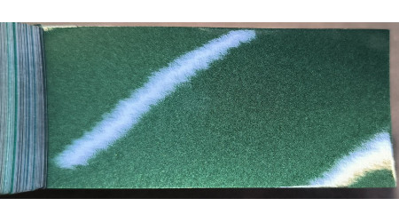 Peinture Jeep PPT (WPT) VERDE EVERGLADE